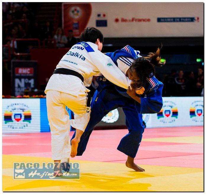 Paris 2014 by P.Lozano cat -78 kg_PLM4943